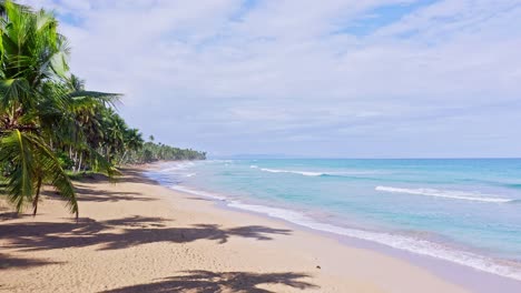 Palmeras-En-La-Desierta-Playa-Coson,-Las-Terrenas-En-República-Dominicana