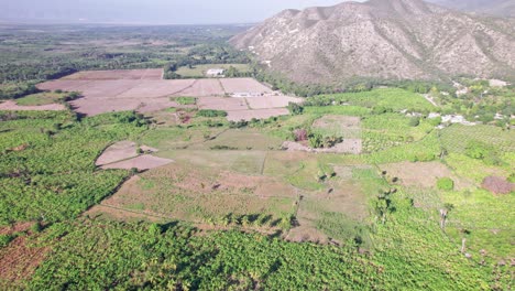 Aerial-view-of-Neiba-Region-with-plantation-and-vegetation-with-mountains-in-background
