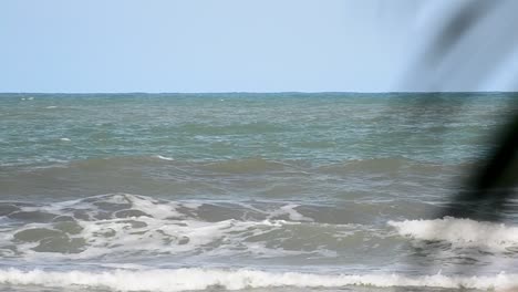 El-áspero-Mar-Caribe-En-Un-Día-Soleado-Con-Hojas-De-Palma-Ondeando-En-El-Primer-Plano-Del-Bokeh