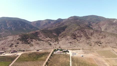 Aerial-view-of-a-winery-in-Valle-de-Guadalupe,-Baja-California,-Mexico