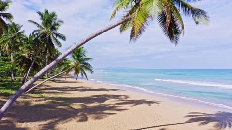Peaceful-Beach-Scenery-In-Playa-Coson-Las-Terrenas-Dominican-Republic---aerial-shot