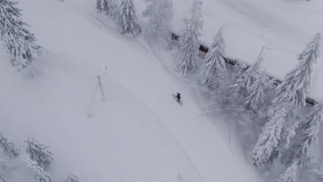 Sportler-Beim-Skifahren-Auf-Vereister-Landstraße-Durch-Waldgebiet,-Luftaufnahme-Von-Oben-Nach-Unten