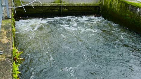 Water-swirl-in-reservoir-at-a-wastewater-sewage-treatment-plant,-mossy-concrete