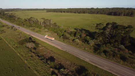 Aerial-tracking-shot-of-industrial-truck-transporting-freight-and-goods-during-drive-on-rural-road-in-Uruguay