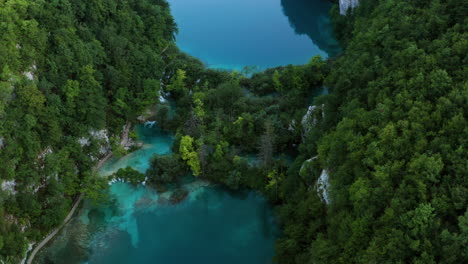 Lush-Vegetations-On-Limestone-Canyons-At-Plitvice-Lakes-National-Park-In-Croatia