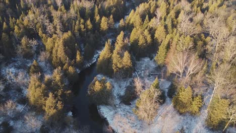 Aerial-Shot-Of-Beautiful-Boreal-Forest-Landscape,-Snow-Covered-With-River