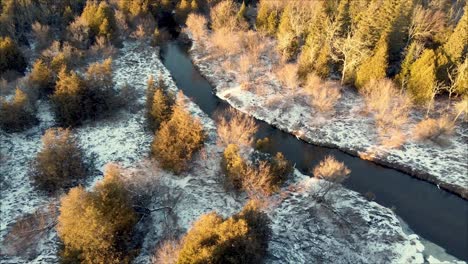 Aerial-Flyover-Of-Forest-Landscape-With-Stream-And-Trees-Lit-At-Sunset