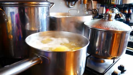 Silver-pots-cooking-steaming-Christmas-food-on-hot-gas-stove-in-family-kitchen-preparing-dinner