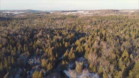 Aerial-Forest-Scene-With-Small-River-At-Sunset-During-Winter
