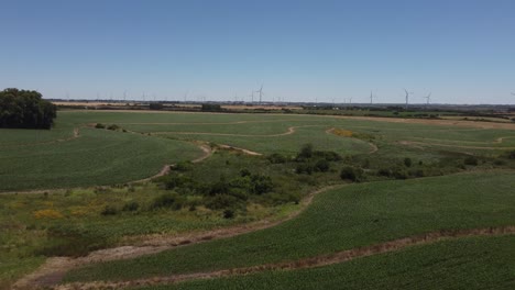 Luftüberführung-Grüne-Landwirtschaftliche-Felder-Mit-Industriellem-Windpark-Im-Hintergrund---Schöner-Sonniger-Und-Windiger-Tag-In-Der-Natur