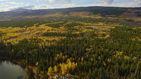 Herbstfarbener-Wald-Am-Seeufer-In-British-Columbia,-Kanada