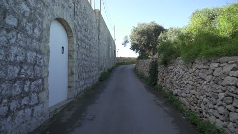 Lonely-Road-Leading-to-Dingli-Cliffs-with-Trees-Growing-in-Nearby-Garden