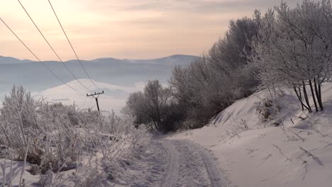 Rural-winter-road-next-to-snowed-in-shrubs-and-power-lines
