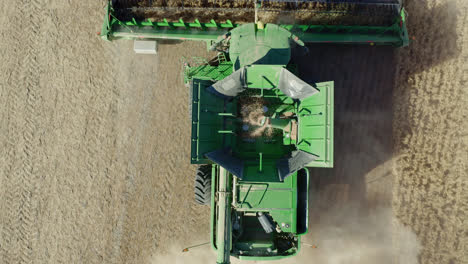 Aerial-top-down-close-up-of-green-combine-harvester-harvesting-wheat-grains