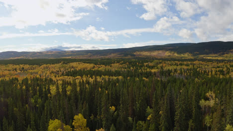 Langsamer-Luftabstieg-Zum-Boden-Des-British-Columbia-Forest-In-Herbstfarbe