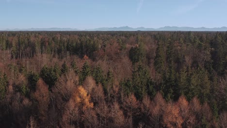 Wald-Bis-Zum-Gebirge---Kranich-Aus-Einem-Niedrigen-Winkel-In-Den-Himmel-Geschossen