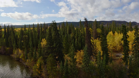 See-Mit-Herbstfarben-Im-Wald-Tagsüber-In-Britisch-Kolumbien,-Kanada
