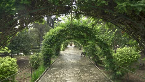 Walking-Through-Long-Green-Tunel-of-Vines-in-San-Anton-Gardens