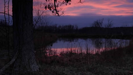 4K-Beautiful-sunset-at-Pond-on-Farm