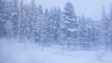 Driving-shot-of-the-beautiful-Sweden-landscape-in-a-train-ride,-full-of-snow-filled-pine-trees-in-winter-forest-4K