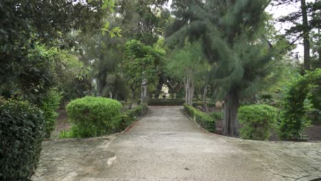 Trees-Bushes-and-Plants-Growing-and-Waving-in-the-Wind-at-San-Anton-Gardens-in-Attard