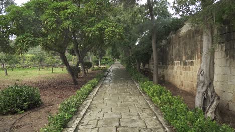 Black-and-White-Colour-Striped-Cat-Runs-Towards-Camera-on-Stone-Path-in-San-Anton-Gardens