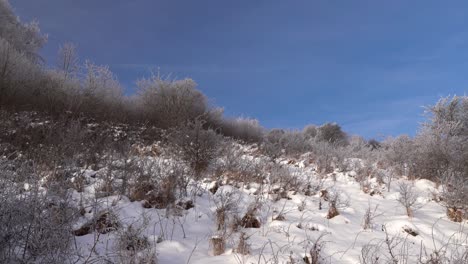 Ländliche-Winterlandschaften-Auf-Hügeln-Mit-Sträuchern-Und-Blauem-Himmel