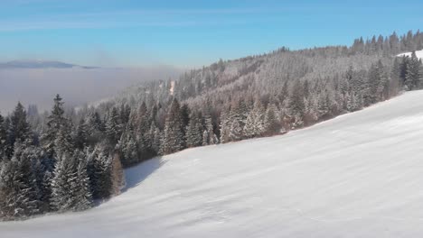 Luftflug-über-Verschneiter-Winterlandschaft-Mit-Wald-Und-Blauem-Himmel