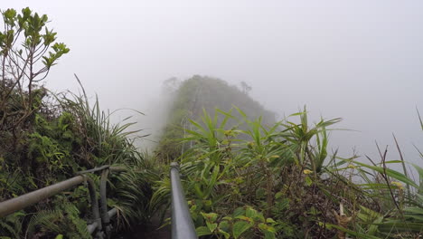 Adventurers-climb-overgrown-ridge-top-Haiku-Stairs-in-thick-fog,-Oahu