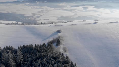 Fast-aerial-tilt-up-from-winter-forest-towards-mountain-range-with-snow