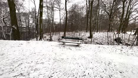 walking-towards-bench-in-park-during-snowy-winter