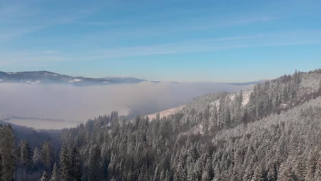 Backwards-aerial-flight-over-stunning-winter-forest-landscape-with-cloud-inversion