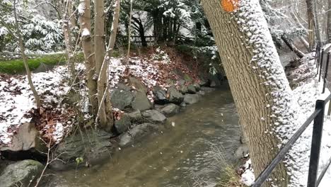snowing-outside-on-river-in-forest