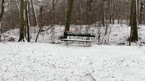 snowing-outside-on-park-bench