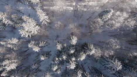 Atemberaubende-Drohnenansicht-Von-Oben-Auf-Die-Verschneite-Winterwaldlandschaft
