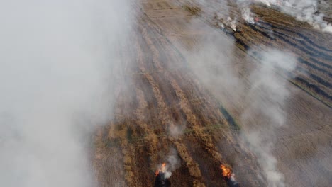 Drone-flying-through-thick-smoke-coming-out-of-burning-stubble-in-remote-farmland