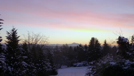 Winter-landscape-during-sunset,-Mount-Baker-in-background