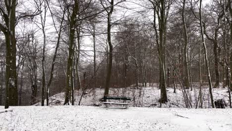 snowing-outside-on-park-bench