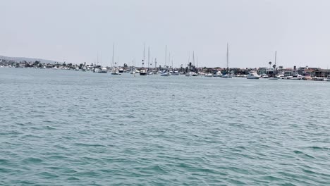 Vista-De-Veleros-Y-Embarcaciones-De-Recreo-En-El-Puerto-De-Balboa-Desde-El-Ferry-De-Balboa