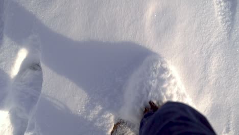 Looking-down-on-male-feet-walking-through-fresh-powder-snow-POV-shot