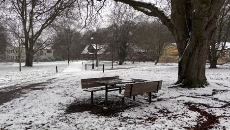 snowing-outside-in-swedish-park