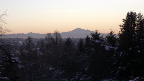 Winterlandschaft-Mit-Vögeln,-Die-Während-Des-Sonnenuntergangs-Fliegen,-Mt-Baker-Im-Hintergrund