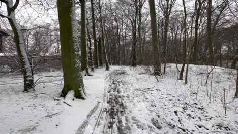 walking-outside-in-swedish-forest-path