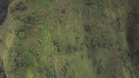 Descenso-Aéreo-De-Montaña-Verde-A-Las-Icónicas-Escaleras-Haiku-En-Oahu,-Hawaii