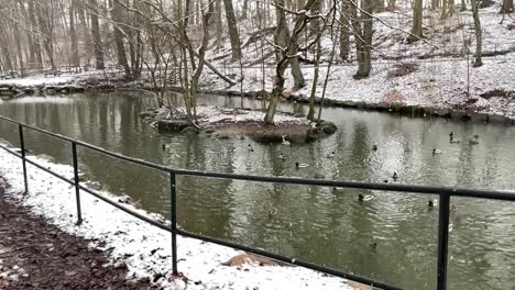 snowing-outside-on-park-duck-lake