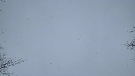 snowflakes-coming-from-the-winter-sky