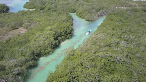 Tour-boat-takes-tourists-into-mangrove-lagoon-in-Sian-Ka'an,-Mexico