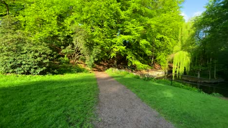 Auf-Dem-Weg-In-Einem-Grünen-Park