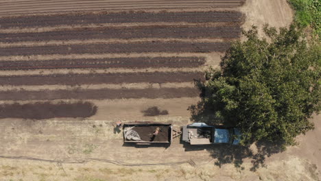 Drone-view-from-above-of-two-boys-preparing-farmland-in-soil-converging-lines-for-planting