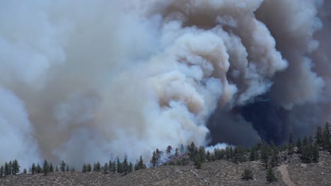 Large-Brush-fire-tears-through-forest